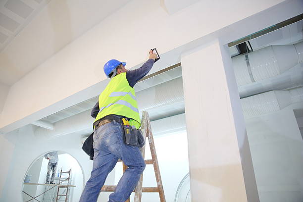 Professional Mold Removal in Webster, TX